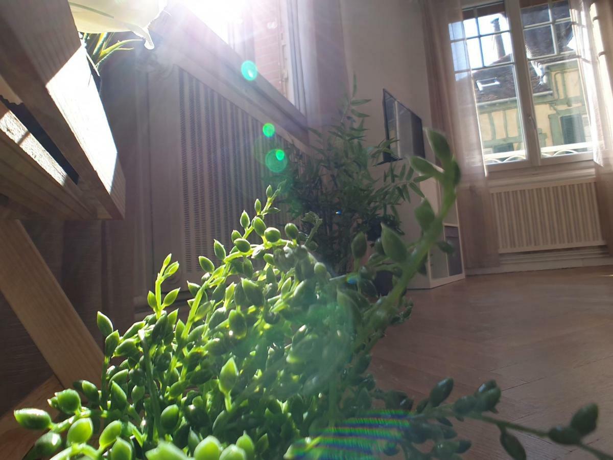 Au 36, Les Apparts Hotel Joigny Luaran gambar